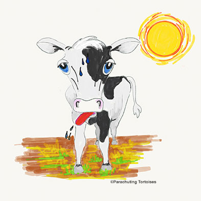 Cartoon of cow in a drought
