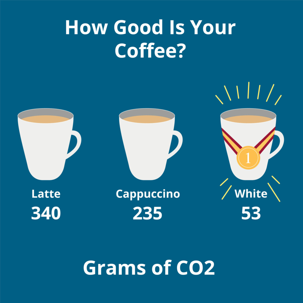 Infographic - The Carbon Footprint on Coffee
