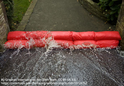 Hydrosnake on steps