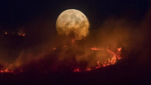 Wild fires on Saddleworth Moor, Greater Manchester, 27 June 2018