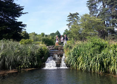 Waterfall at the Bishop's Palace Gardens in Wells