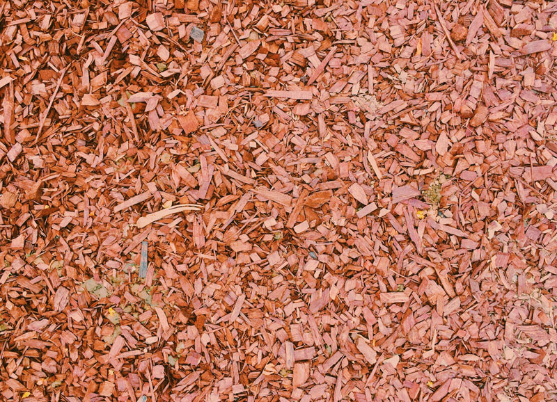wood chips for biomass