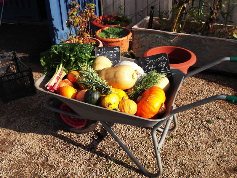 Fresh seasonal vegetables in a barrow