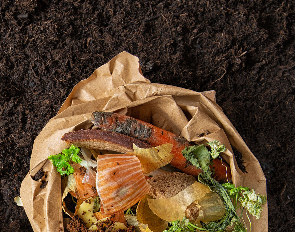 Food waste and rich soil