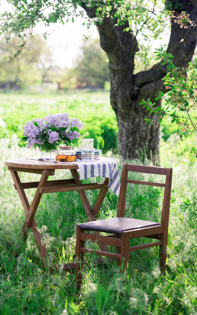 Simple garden furniture under a tree