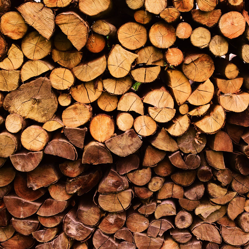Logs piled up in log store