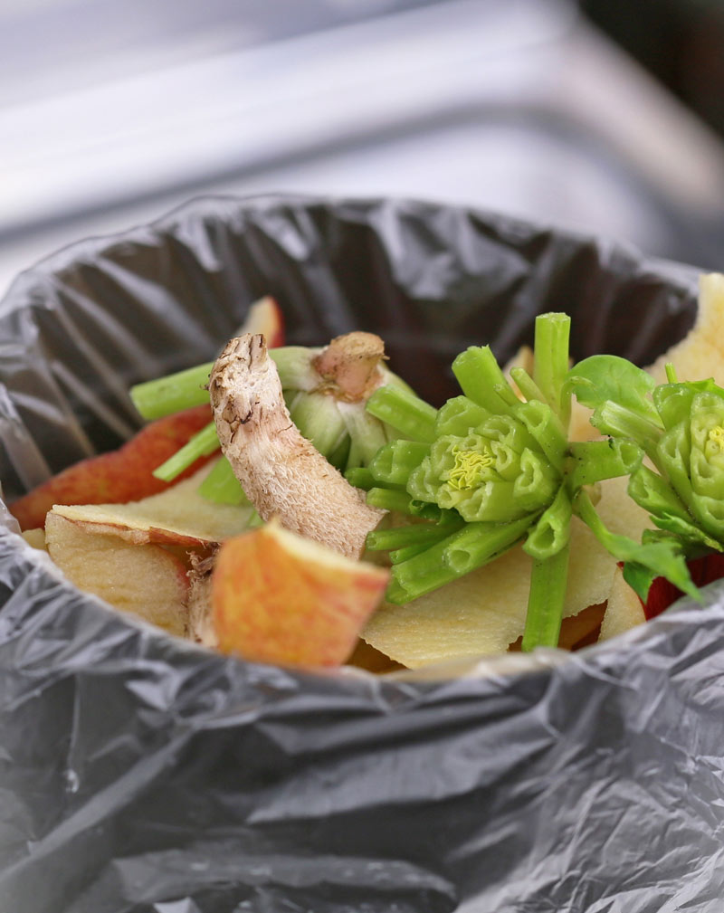 Food scraps in bin