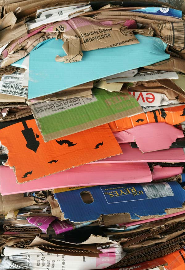 Paper and card for recycling, photo by Michael Jin on Unsplash.com