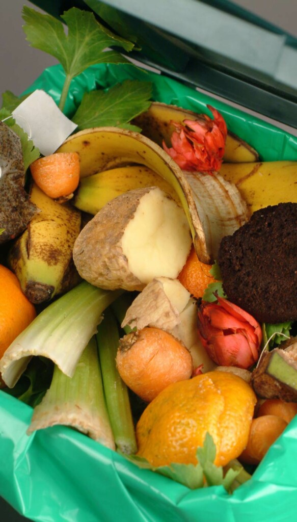Food waste in bin